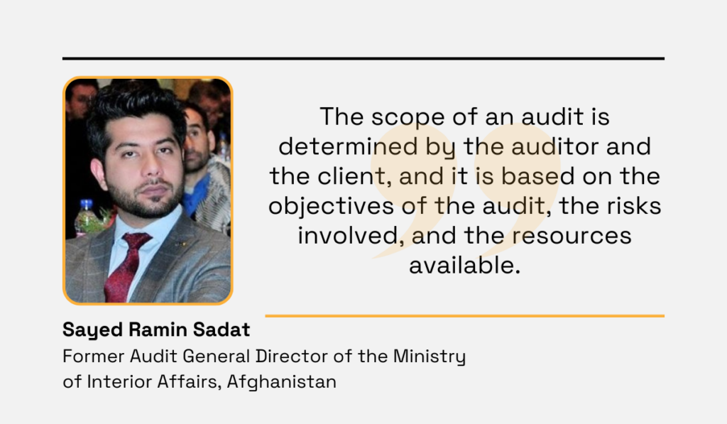 a quote explaining how the scope of a procurement audit is determined