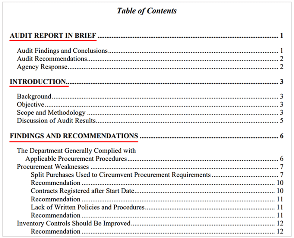 example of a procurement audit report