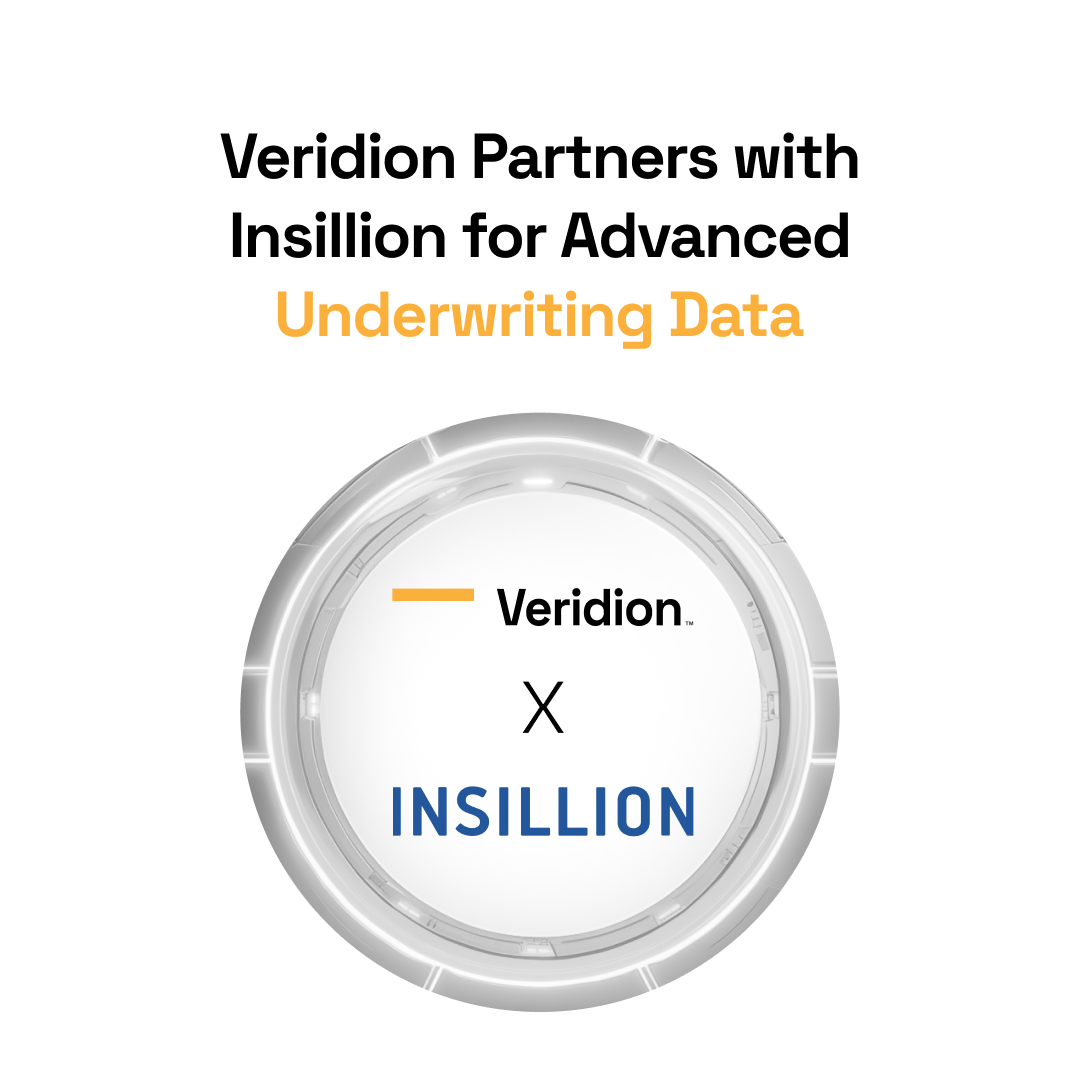 veridion and insillion partnership banner