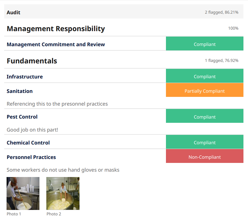 supplier audit