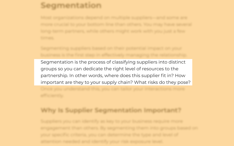 Definition for supplier segmentation process