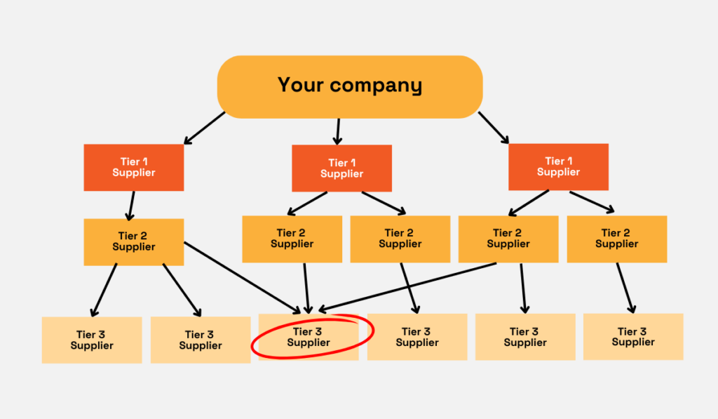 Supplier tiers and connections, with Tier 3 supplier circled organizational chart 