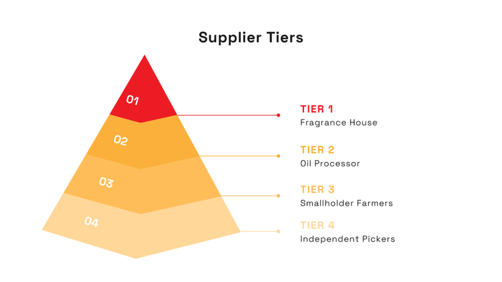 Supplier tiers pyramid showing Tier 1 as Fragrance House, Tier 2 as Oil Processor, Tier 3 as Smallholder Farmers, and Tier 4 as Independent Pickers