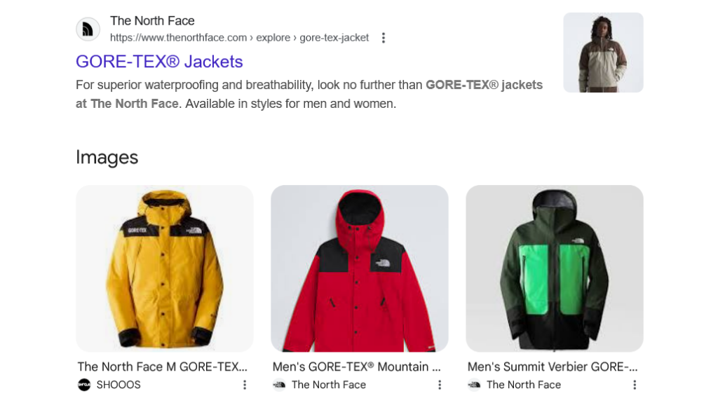 Google search result for GORE-TEX jackets from The North Face showing product links with images of yellow, red, and green jackets