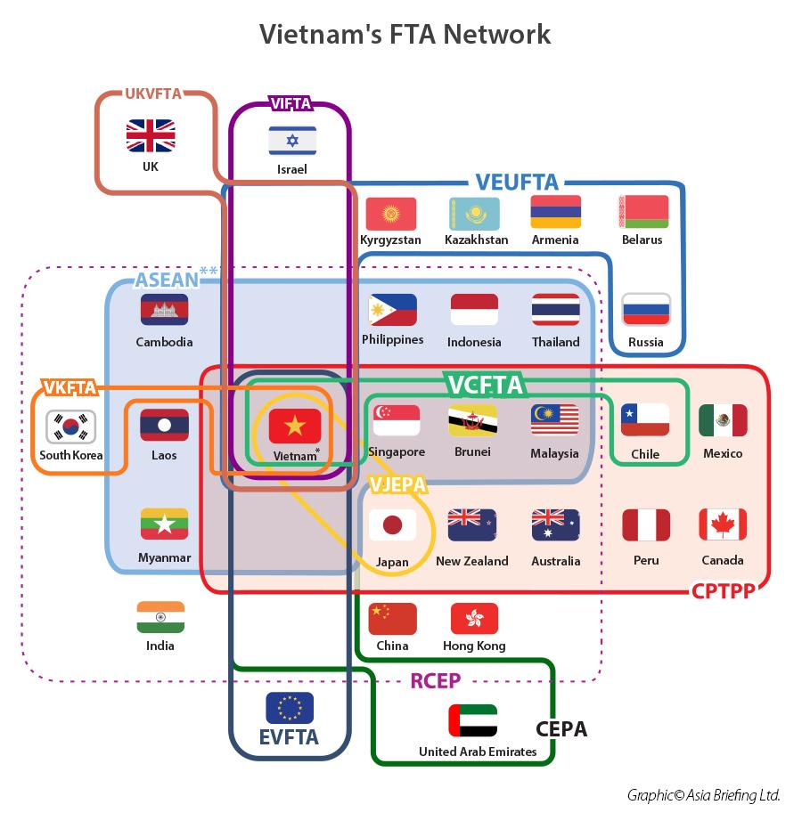 Vietnam's Free Trade Agreement network with partner countries grouped by agreement types infographic 