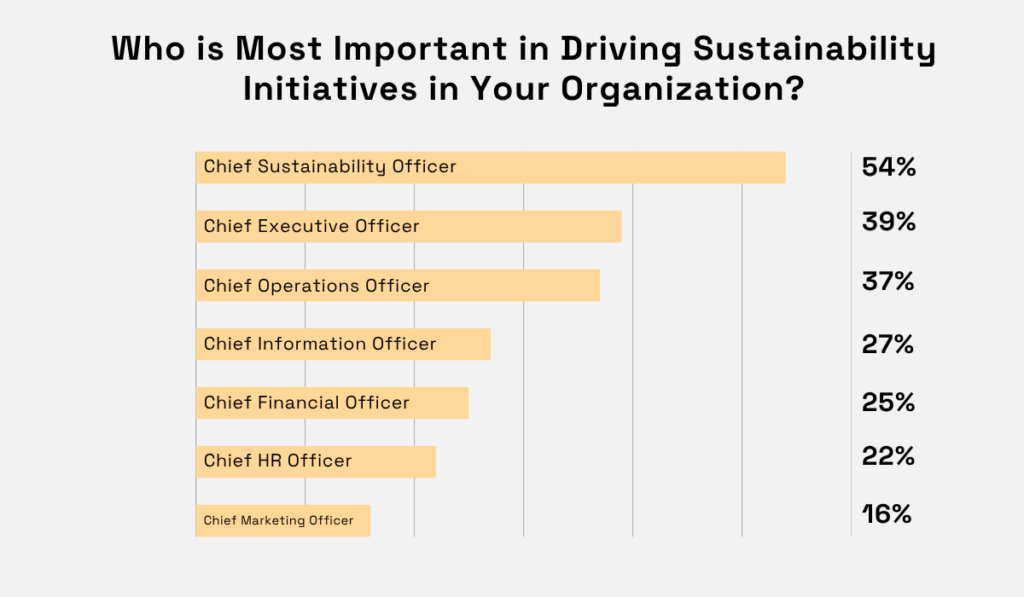 Which executives are seen as most important in driving sustainability initiatives, with Chief Sustainability Officer at 54% and Chief Marketing Officer at 16% horizontal bar chart