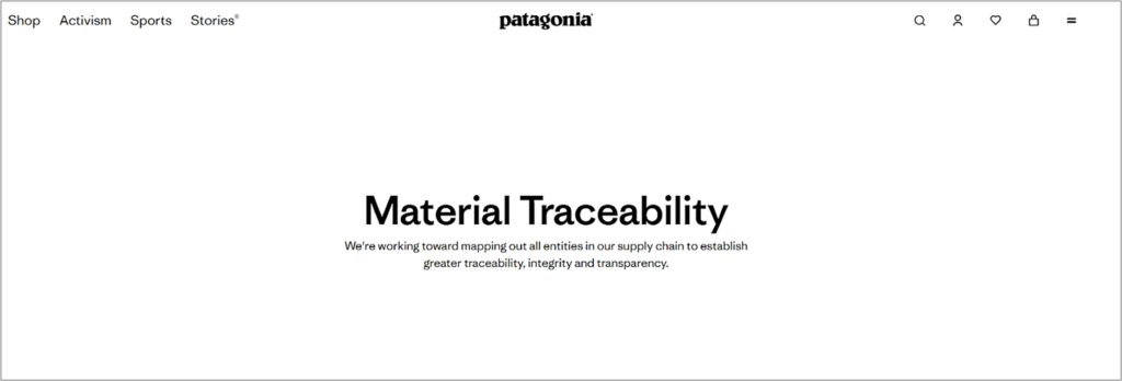 Patagonia dashboard