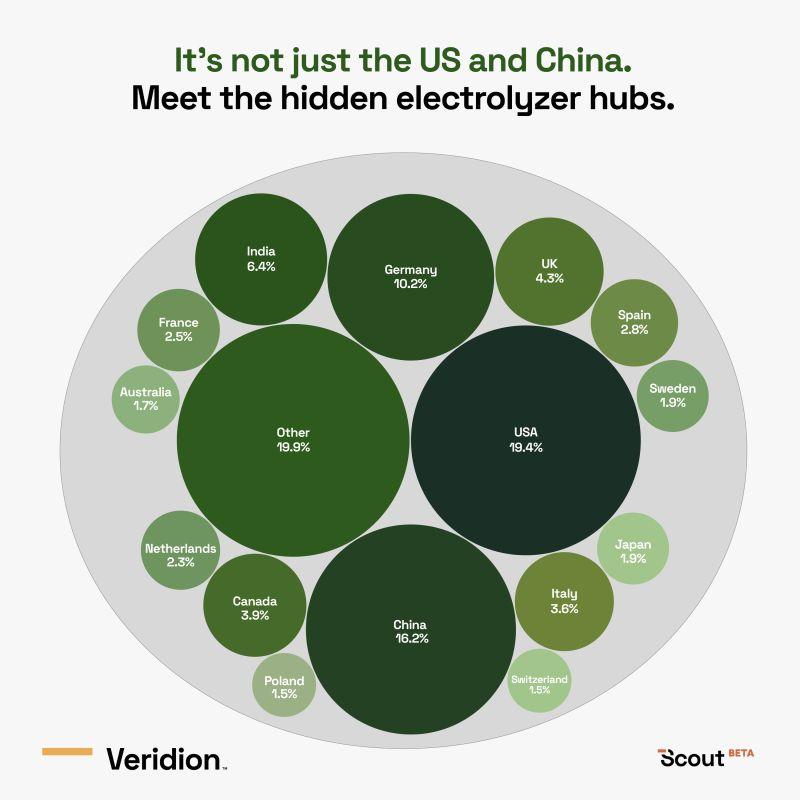 Veridion dashboard