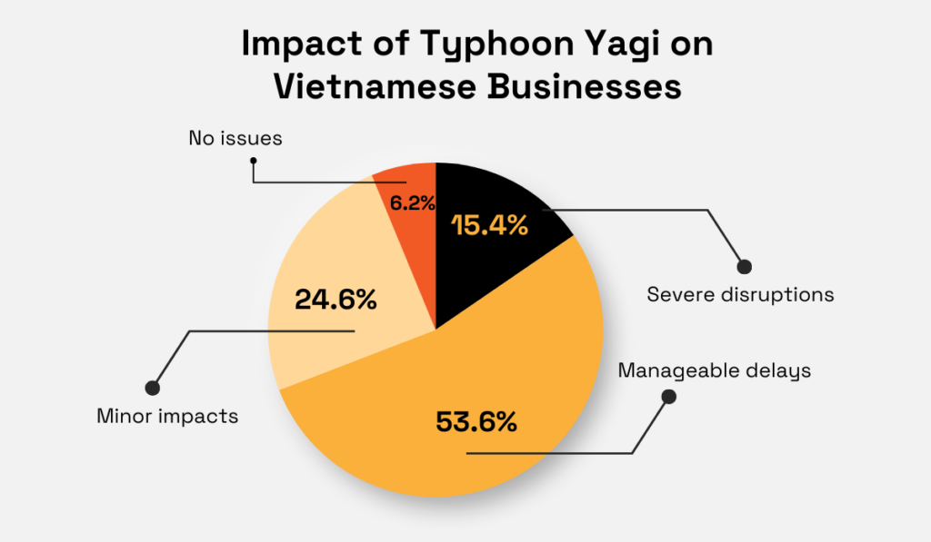statistics on the impact of typhoon yagi on vietnamese businesses
