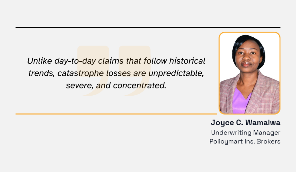 quote on catastrophe losses