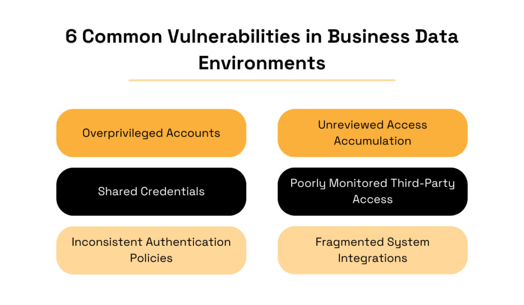 Common business data environment security vulnerabilities infographic