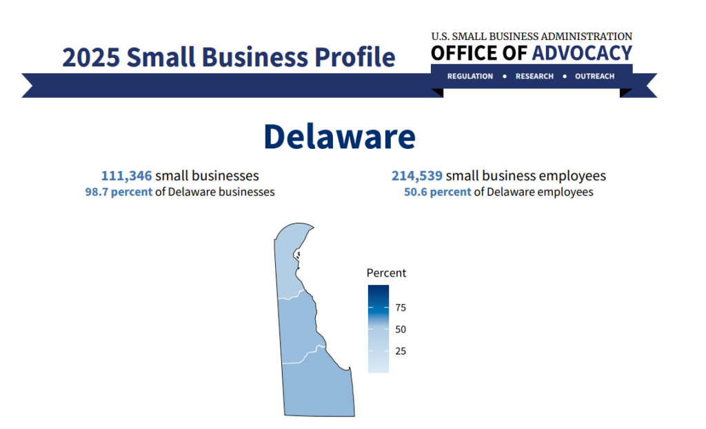 2025 small business profile and employment data for Delaware infographic