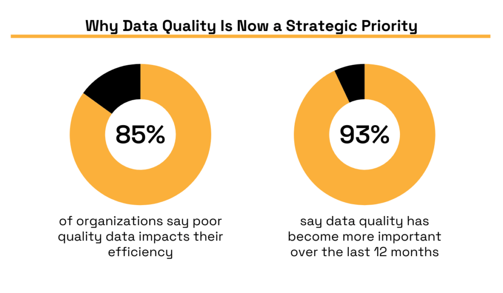 Experian’s 2022 Report statistic pie chart