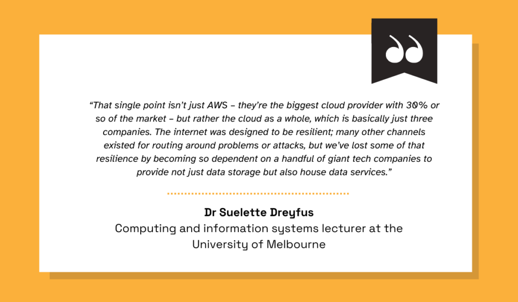 Suelette Dreyfus quote