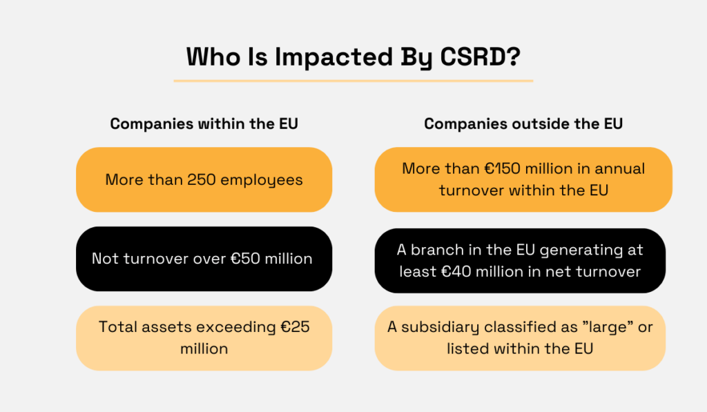 Companies affected by CSRD infographic